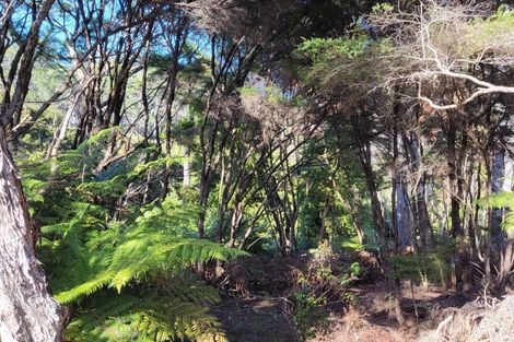 Photo of property in 10 Wilson Avenue, Kawau Island, 0920