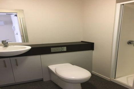 Photo of property in The Peak Apartments, 505/170 Taranaki Street, Te Aro, Wellington, 6011