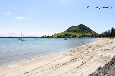 Photo of property in 40 Maunganui Road, Mount Maunganui, 3116
