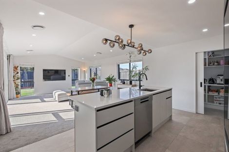 Photo of property in 17 Palmer Avenue, Rolleston, 7615