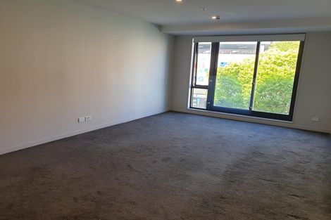 Photo of property in Vsp South, 207/168u Victoria Street, Te Aro, Wellington, 6011