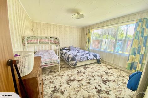 Photo of property in 53 Featherston Street, Levin, 5510