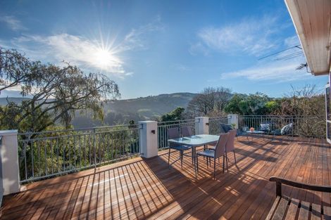 Photo of property in 113 Signal Hill Road, Opoho, Dunedin, 9010