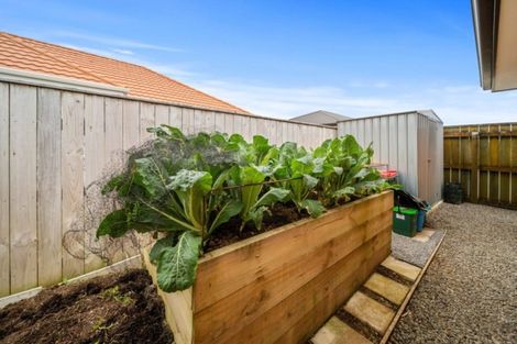 Photo of property in 2/241 Omata Road, Spotswood, New Plymouth, 4310