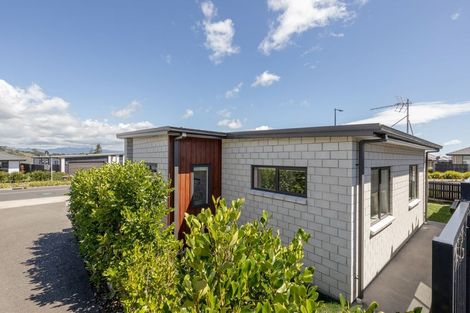 Photo of property in 58 Sentinel Avenue, Omokoroa, 3114