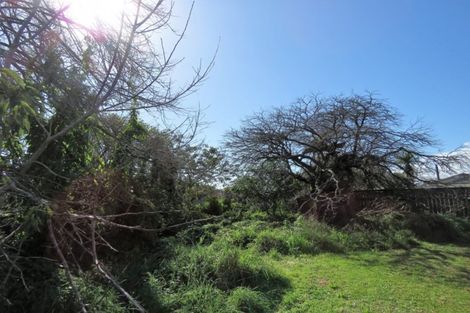 Photo of property in 7 Peel Street, Westport, 7825