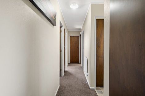 Photo of property in 113 Amanda Avenue, Dinsdale, Hamilton, 3204