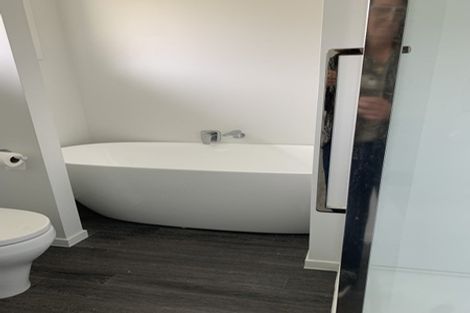 Photo of property in 53 Urlich Avenue, Melville, Hamilton, 3206