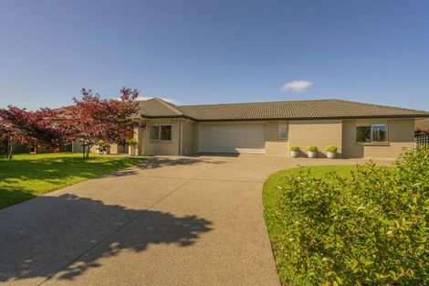 Photo of property in 10 Roseberry Place, Whitianga, 3510