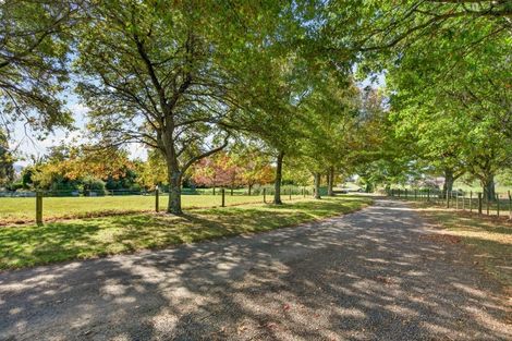 Photo of property in 195 Park Road, Parkvale, Carterton, 5792