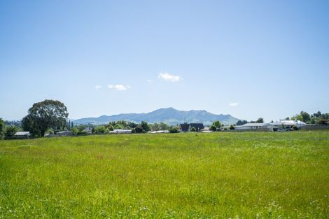 Photo of property in 12 Kahikatea Drive, East Gore, 9710
