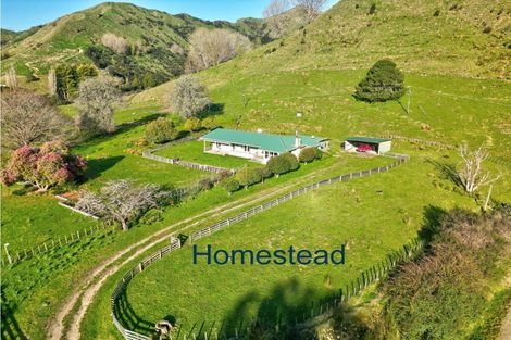 Photo of property in 918 Makakaho Road, Ngamatapouri, 4588