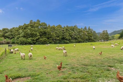 Photo of property in 873 Whangaripo Valley Road, Whangaripo, Wellsford, 0972