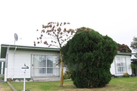 Photo of property in 3 Durham Avenue, Tamatea, Napier, 4112