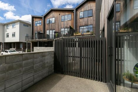 Photo of property in Aniva Terrace, 12 Arney Street, Newtown, Wellington, 6021