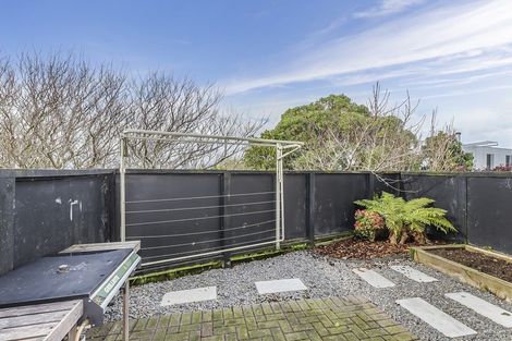 Photo of property in 25u7 Mana Street, Vogeltown, Wellington, 6021