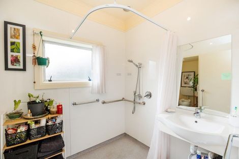 Photo of property in 85 Shamrock Street, Takaro, Palmerston North, 4412