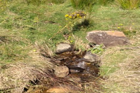 Photo of property in 1/339 Maungakawa Road, Cambridge, 3496