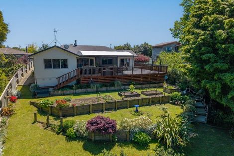 Photo of property in 84 Allen Street, Morrinsville, 3300
