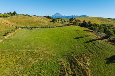 Photo of property in 40 Atkinson Road, Hurworth, New Plymouth, 4371