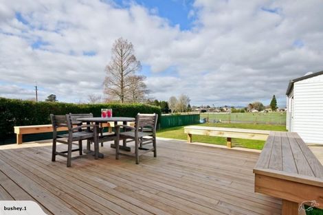 Photo of property in 228 North Street, Te Awamutu, 3800