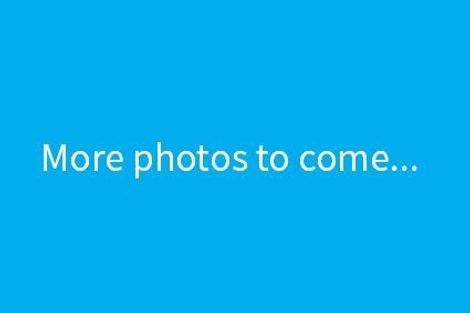Photo of property in 4 Liftan Place, Mount Maunganui, 3116