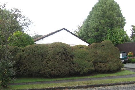 Photo of property in 3 Carrington Crescent, Tokoroa, 3420