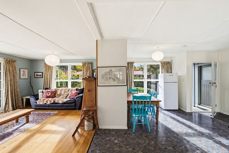 Photo of property in 14 Acheron Avenue, Lake Coleridge, 7572