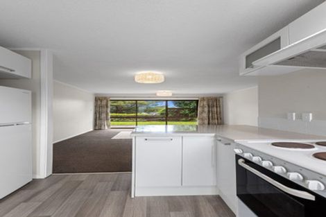 Photo of property in 2/14 Williams Street, Tauranga, 3110