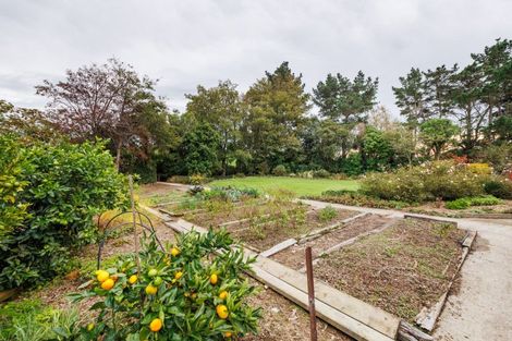 Photo of property in 82 Millricks Line, Linton, Palmerston North, 4472