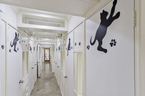 Photo of property in 52 Church Street, Oxford, 7430