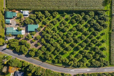 Photo of property in 204a No 2 Road, Te Puke, 3182