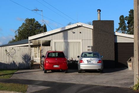 Photo of property in 12 Stewart Place, Melville, Hamilton, 3206