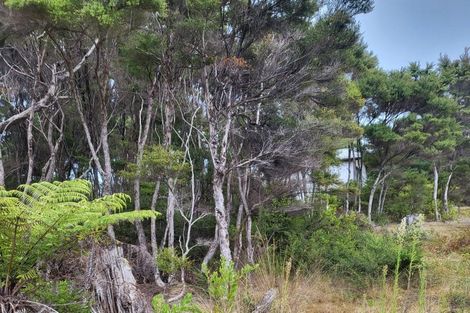 Photo of property in 10 Wilson Avenue, Kawau Island, 0920
