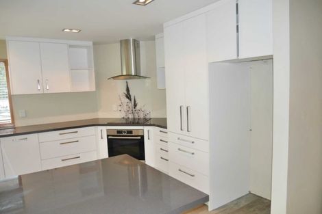 Photo of property in 29 Dover Street, St Albans, Christchurch, 8014