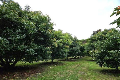 Photo of property in 400 Te Matai Road, Te Puke, 3188