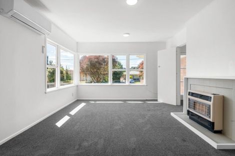 Photo of property in 72 Mansel Avenue, Hillcrest, Hamilton, 3216