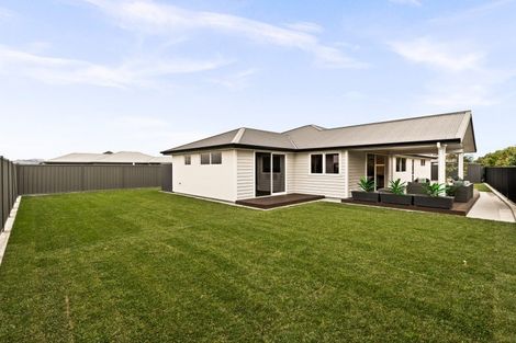 Photo of property in 31 Arihi Crescent, Frimley, Hastings, 4120
