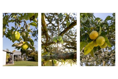 Photo of property in 51 Otara Road, Otara, Opotiki, 3197