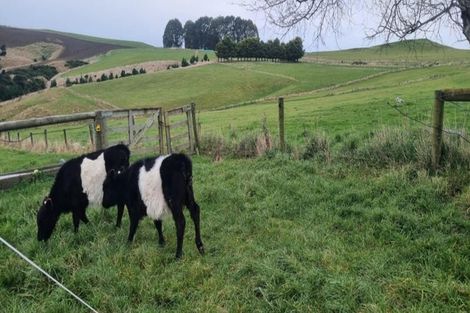 Photo of property in 447 Waddle Road, Waikana, Gore, 9772