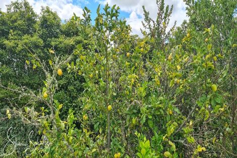 Photo of property in 105 Gorge Road, Maungaturoto, 0520