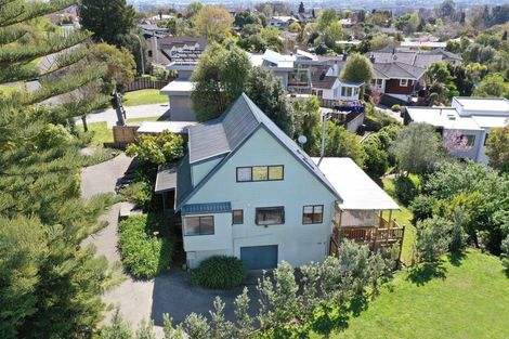 Photo of property in 37a Tauroa Road, Havelock North, 4130