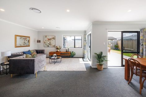 Photo of property in 43 Accolade Street, Feilding, 4702