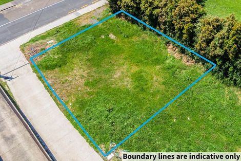 Photo of property in 9a Edwards Avenue, Henderson, Auckland, 0610