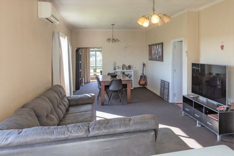 Photo of property in 60 Svenson Road, Waipukurau, 4200