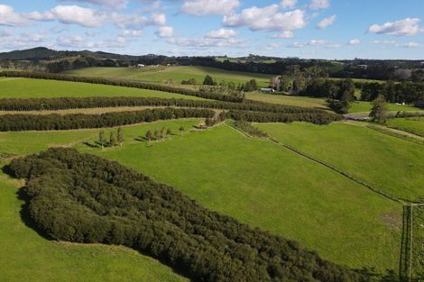 Photo of property in 19 Okura Drive, Kerikeri, 0230