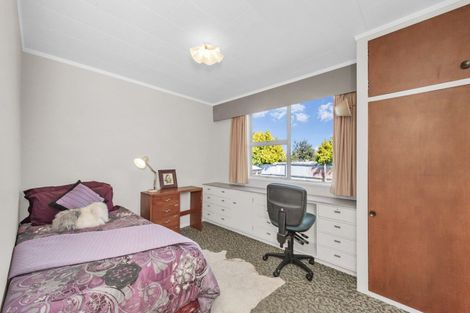 Photo of property in 52 Leslie Street, Waiau, 7332