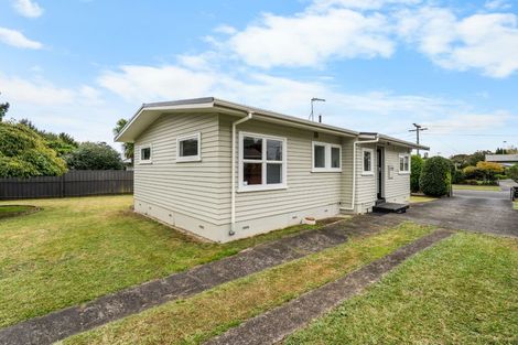Photo of property in 41 Fitzroy Avenue, Fitzroy, Hamilton, 3206