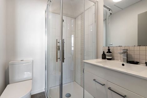 Photo of property in 246 Victoria Street, Te Aro, Wellington, 6011