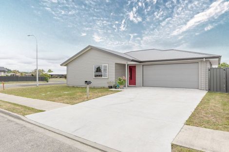 Photo of property in 33 Belgrove Drive, Waipukurau, 4200
